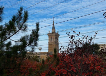 Прогноз погоди у Запоріжжі 24, 25, 26 листопада – що обіцяю синоптики | Новости Запорожья