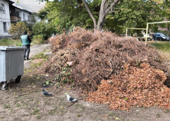 Стихійне сміттєзвалище у Дніпровському районі Запоріжжя –  екоінспекція зобов’язала міськраду прибрати територію, фото | Новости Запорожья