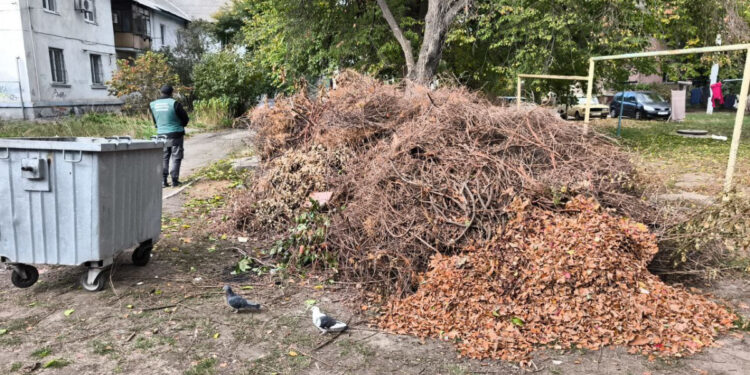 Стихійне сміттєзвалище у Дніпровському районі Запоріжжя – екоінспекція зобов’язала міськраду прибрати територію, фото | Новости Запорожья