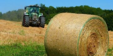 Суд повернув громаді 75 гектарів: на Черкащині викрили схему незаконного отримання землі