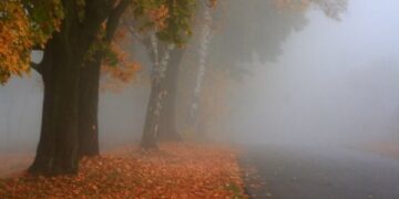 Тепло і тумани: якою буде погода на Черкащині найближчими днями