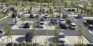 У Львові висадять дерева на усіх відкритих паркувальних майданчиках