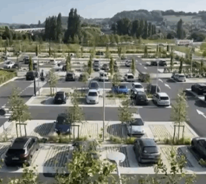 У Львові висадять дерева на усіх відкритих паркувальних майданчиках