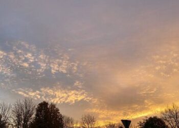 У повітрі Черкас зафіксували перевищення шкідливих речовин