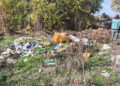 У Заводському районі Запоріжжя знайшли стихійне звалище у зеленій зоні – екоінспекція вимагає прибрати територію до 1 грудня | Новости Запорожья