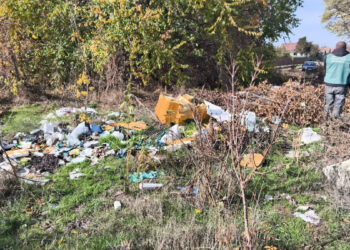 У Заводському районі Запоріжжя знайшли стихійне звалище у зеленій зоні – екоінспекція вимагає прибрати територію до 1 грудня | Новости Запорожья