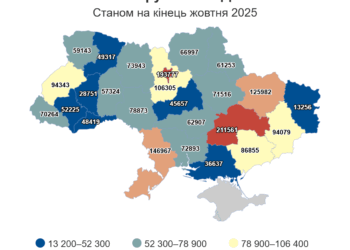 Запоріжжя та область – понад 86 тисяч штрафів за ПДР і водії-рекордсмени у Реєстрі боржників | Новости Запорожья