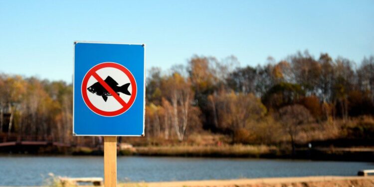 Житомирщина визначила межі зимувальних ям — рибалити там заборонено з 1 листопада | Журнал Житомира