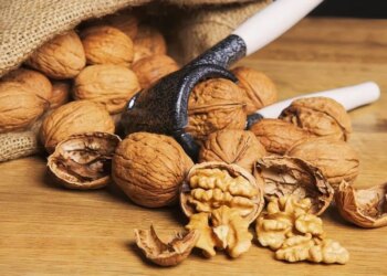 Фермери з Одещини створили горіховий сад на 105 га і готуються до світового ринку – ЭКОНОМИКА