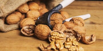 Фермери з Одещини створили горіховий сад на 105 га і готуються до світового ринку – ЭКОНОМИКА