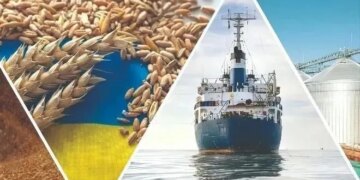 Стабільні експортні коридори підтримують зерновий експорт України – ЭКОНОМИКА