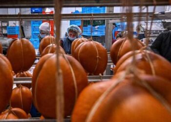 Депутатка Херсонської міськради вела бізнес з окупантами :: Інтент :: Суспільно-політичне видання:: Регіональна мережа якісної журналістики