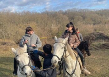 Для переселенців Білолуцької громади провели сеанс іпотерапії — Новости Черкасс