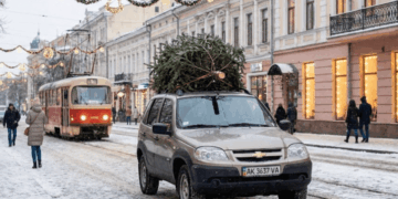 Як перевезти ялинку: правила безпечного транспортування для водіїв |  |