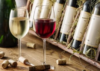 Як Україна торгує винами: імпорт vs експорт – Экономика