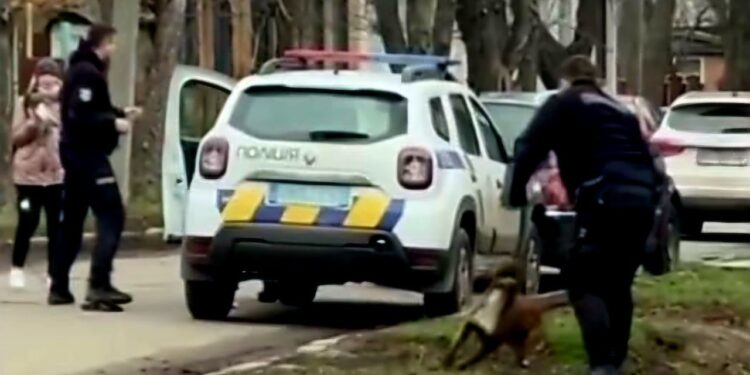 Конфлікт між поліцією і ветераном у Полтаві: деталі – ПОЛТАВА СЬОГОДНІ