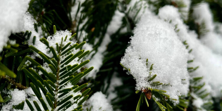 Місцями невеликий дощ: якою буде погода на Івано-Франківщині 21 грудня