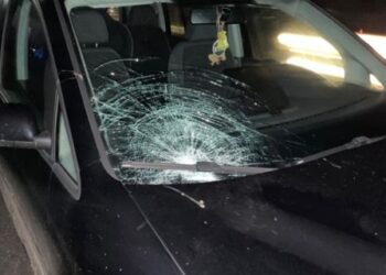 На Львівщині водій збив пенсіонерку на смерть: правоохоронці розпочали розслідування, що може загрожувати водію