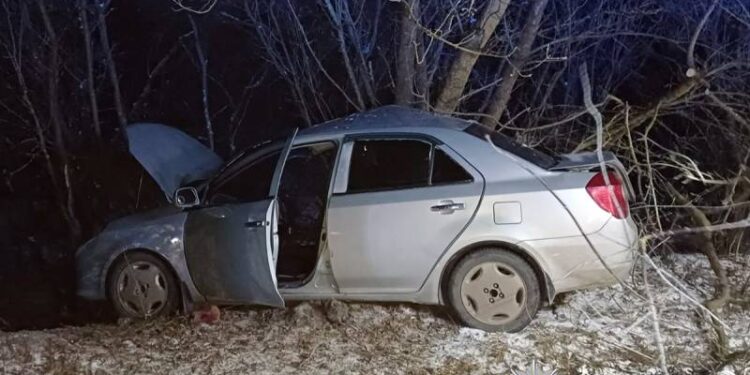 На Шепетівщині авто з’їхало у кювет та зіткнулось з деревом: пасажирка загинула —Хмельнитчина
