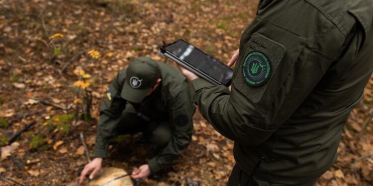 На Житомирщині незаконно зрубали понад тисячу дерев: прокуратура вимагає 1,8 млн грн відшкодування | Журнал Житомира