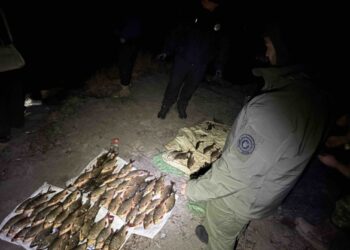 На Золотоніщині браконьєр наловив риби на понад 120 тисяч гривень