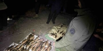 На Золотоніщині браконьєр наловив риби на понад 120 тисяч гривень