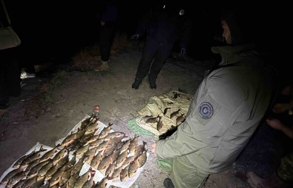На Золотоніщині браконьєр наловив риби на понад 120 тисяч гривень