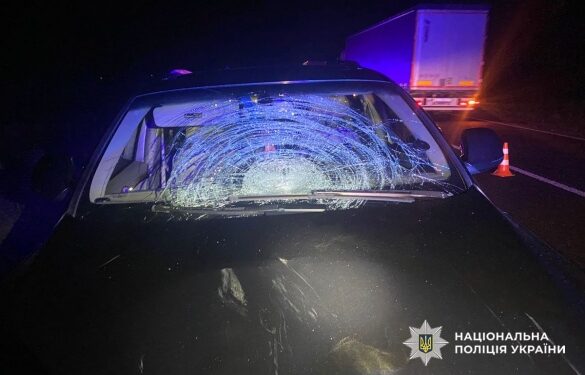 На Золотоніщині водій на смерть збив велосипедиста