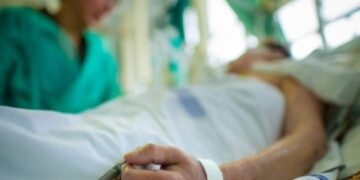 На Звенигородщині чоловік отруївся дикорослими грибами 