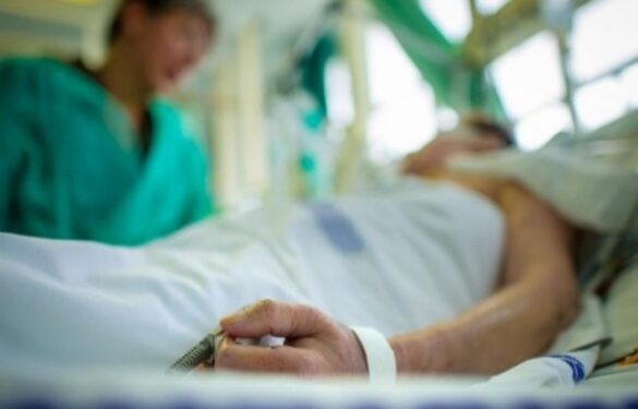 На Звенигородщині чоловік отруївся дикорослими грибами