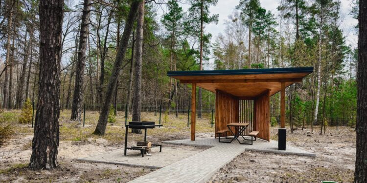 Новий рекреаційний пункт облаштували на Житомирщині в Андрушівському лісництві: відпочинок безкоштовний | Журнал Житомира