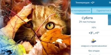 Погода на вихідні: на Житомирщині буде хмарно та температурні гойдалки | Журнал Житомира