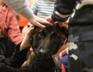 Різдвяні вітання маленьких пацієнтів: у Миколаєві кінологи поліції разом із чотирилапими напарниками завітали до дітей, які зараз перебувають на лікуванні » Миколаївський Оглядач