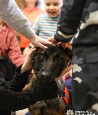 Різдвяні вітання маленьких пацієнтів: у Миколаєві кінологи поліції разом із чотирилапими напарниками завітали до дітей, які зараз перебувають на лікуванні » Миколаївський Оглядач