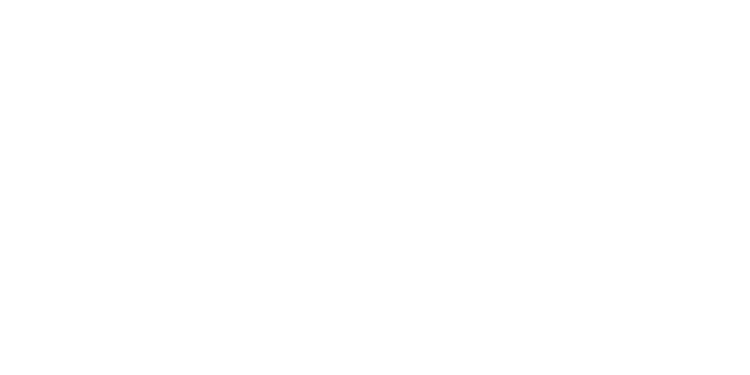 Сабо спрогнозировал исход матча «Фиорентина» – «Динамо» в Лиге конференций