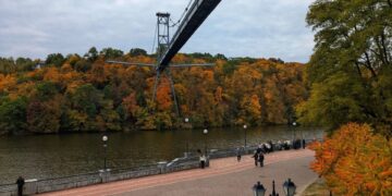 Тепло та туманно: прогноз погоди на перший тиждень грудня | Журнал Житомира