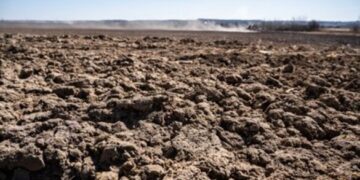 У громадянки рф конфіскували землю на Черкащині