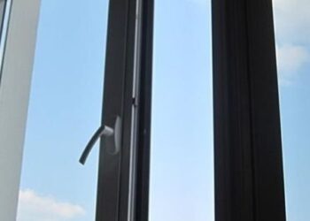 У Києві 11-річний хлопець викинув кота з вікна: поліція проводить перевірку