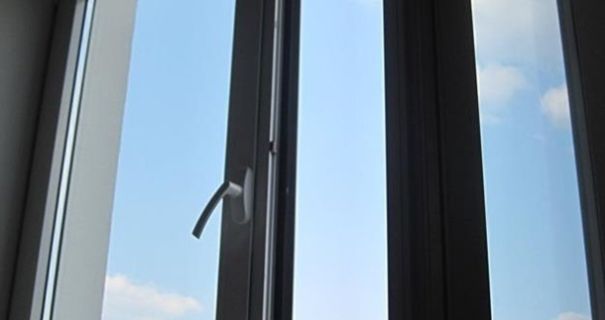 У Києві 11-річний хлопець викинув кота з вікна: поліція проводить перевірку