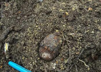 У Львові біля житлових будинків знайшли гранату часів Першої світової війни