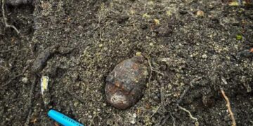 У Львові біля житлових будинків знайшли гранату часів Першої світової війни