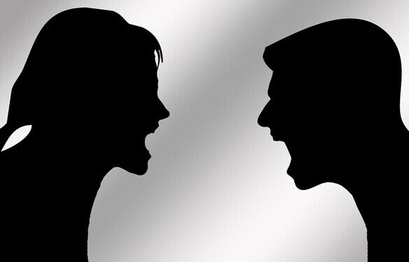 У Смілі поліція проводить перевірку щодо конфлікту зоозахисниці із її колишнім чоловіком