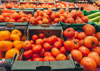 В Україні знизилися ціни на помідори – Экономика