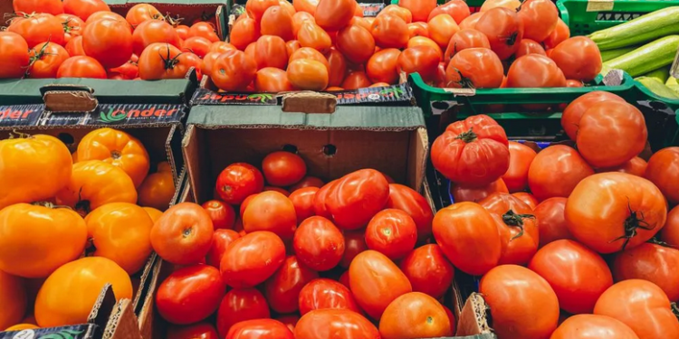 В Україні знизилися ціни на помідори – Экономика