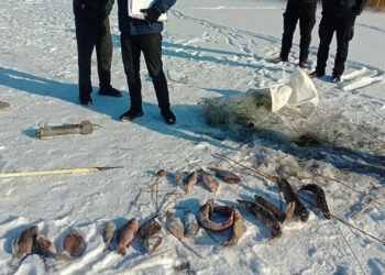 Браконьєр порушив правила та ловив рибу сітками з льоду – ПОЛТАВА СЬОГОДНІ