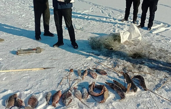 Браконьєр порушив правила та ловив рибу сітками з льоду – ПОЛТАВА СЬОГОДНІ