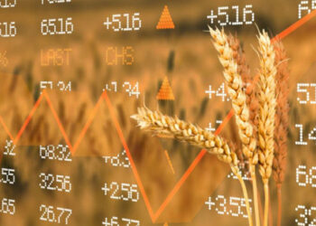 Озвучено оновлені ціни на зернові в Україні – ЭКОНОМИКА