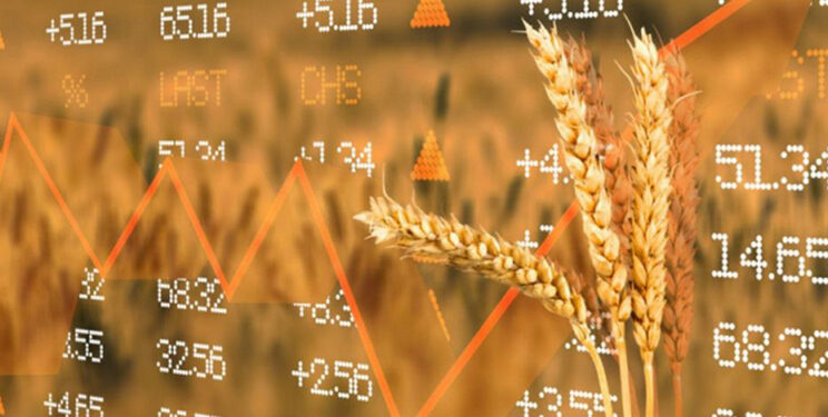 Озвучено оновлені ціни на зернові в Україні – ЭКОНОМИКА