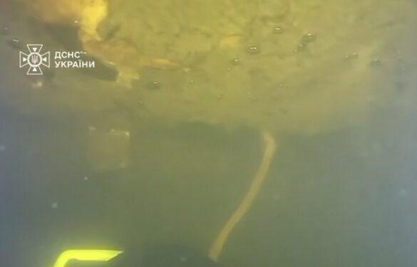 Черкаські рятувальники отримали нагороди за важливу спецоперацію