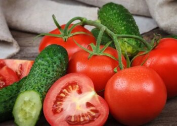 Україна у 2025 р наростила імпорт томатів на третину, огірків – на 46,3% – ЭКОНОМИКА